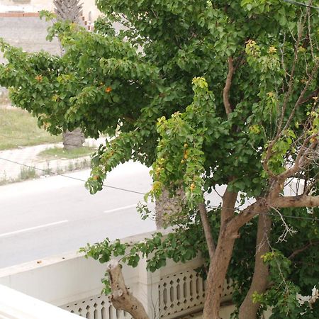 Dar El Amen Appartements Mahdia Pokoj fotografie