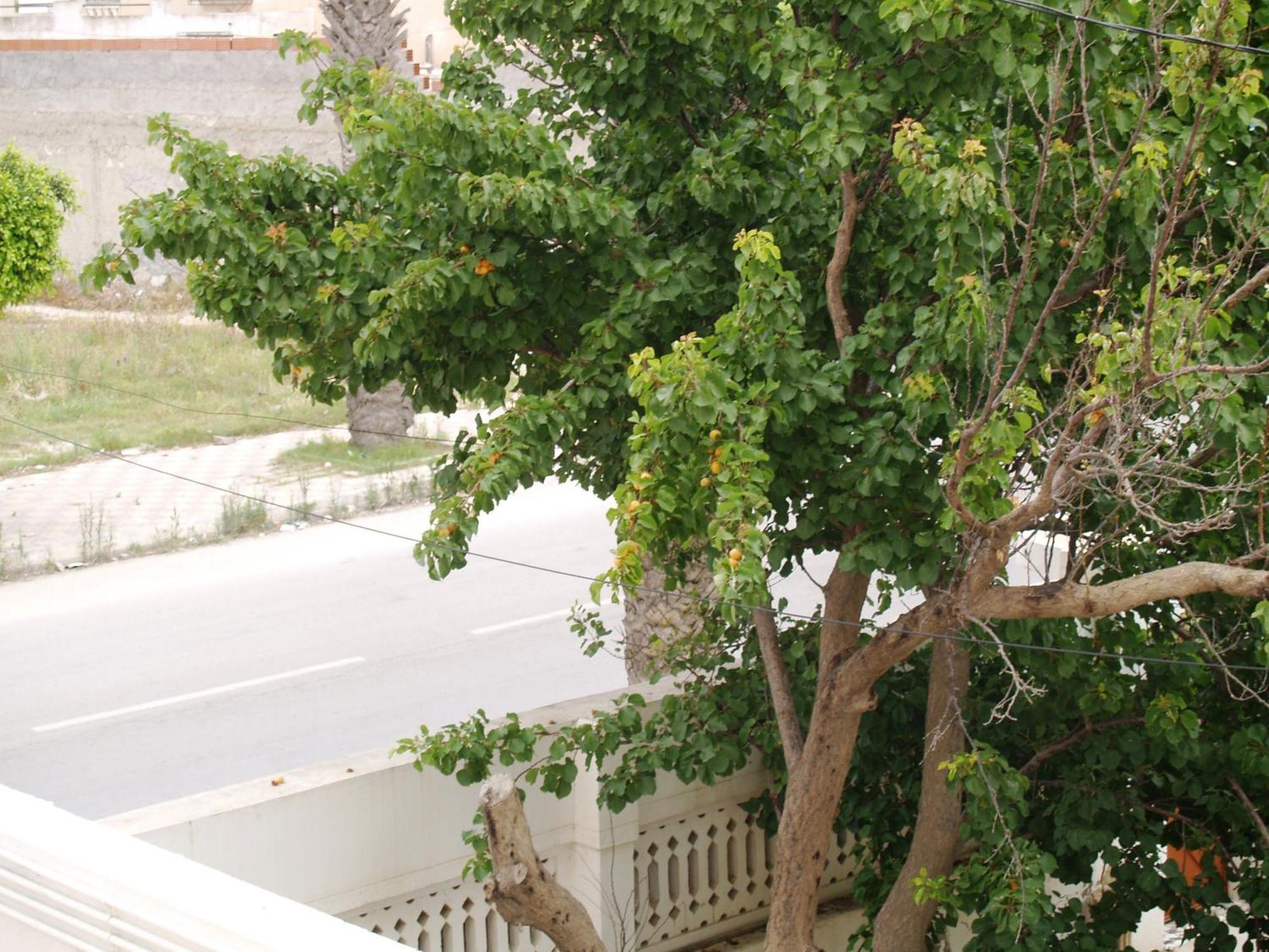Dar El Amen Appartements Mahdia Pokoj fotografie